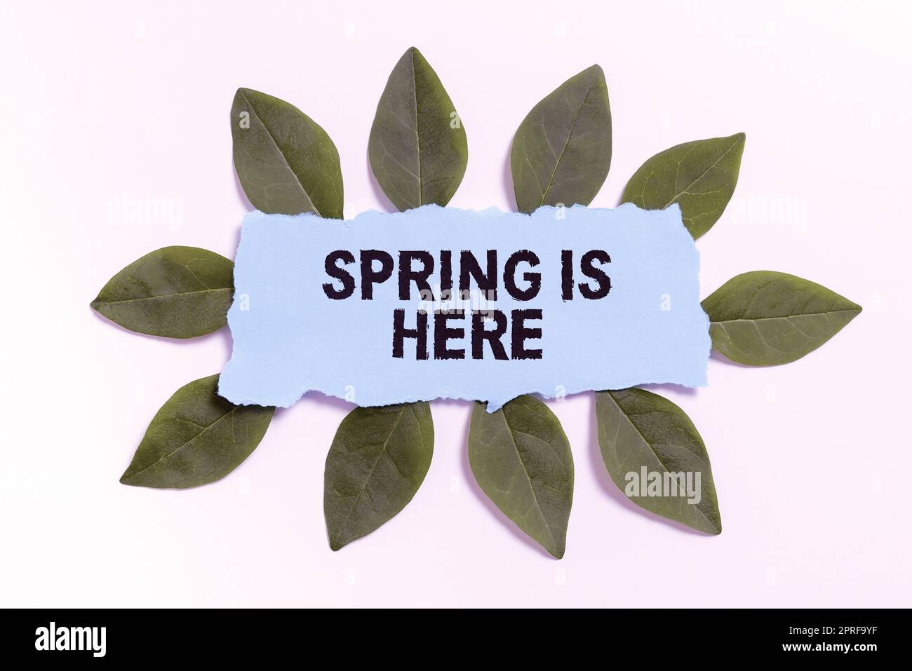 Das Schild mit dem Frühling ist da. Das Wort für nach der Wintersaison ist da. Genießen Sie die Naturblumen, den Sonnenschein, den Geschäftsmann, der mit dem Stift in der Hand auf wichtige Informationen zeigt. Stockfoto