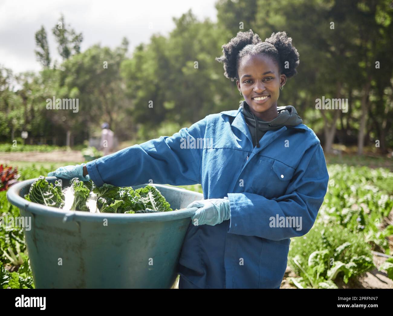 Landarbeiter, Landarbeiter und Nachhaltigkeitsarbeiter, die auf einem Feld an grünem Pflanzenwachstum arbeiten. Natürliche Umwelt und nachhaltiger Garten und Ökologie mit einer Frau, die auf dem Land arbeitet Stockfoto