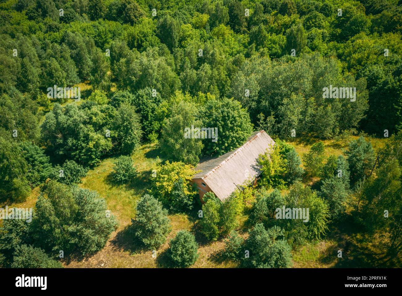 Weißrussland. Blick Aus Der Vogelperspektive Auf Das Ruine Cowshed In Der Tschernobyl Zone. Chornobyl-Katastrophen. Verfallenes Haus Im Belarussischen Dorf. Ganze Dörfer Müssen Beseitigt Werden. Umsiedlungszone Tschernobyl Stockfoto