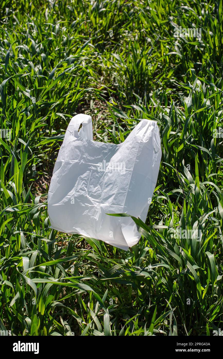 Weiße kleine Plastiktüte liegt auf grünem Gras im Park oder im Feld unter der Sonne. Stockfoto