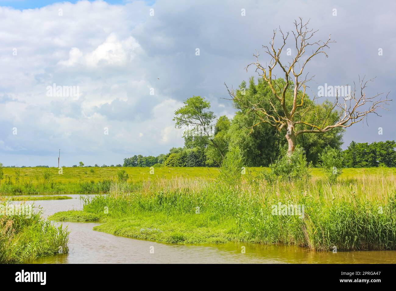 Schöner Panoramablick auf die Natur Wald Oste Water Deutschland. Stockfoto