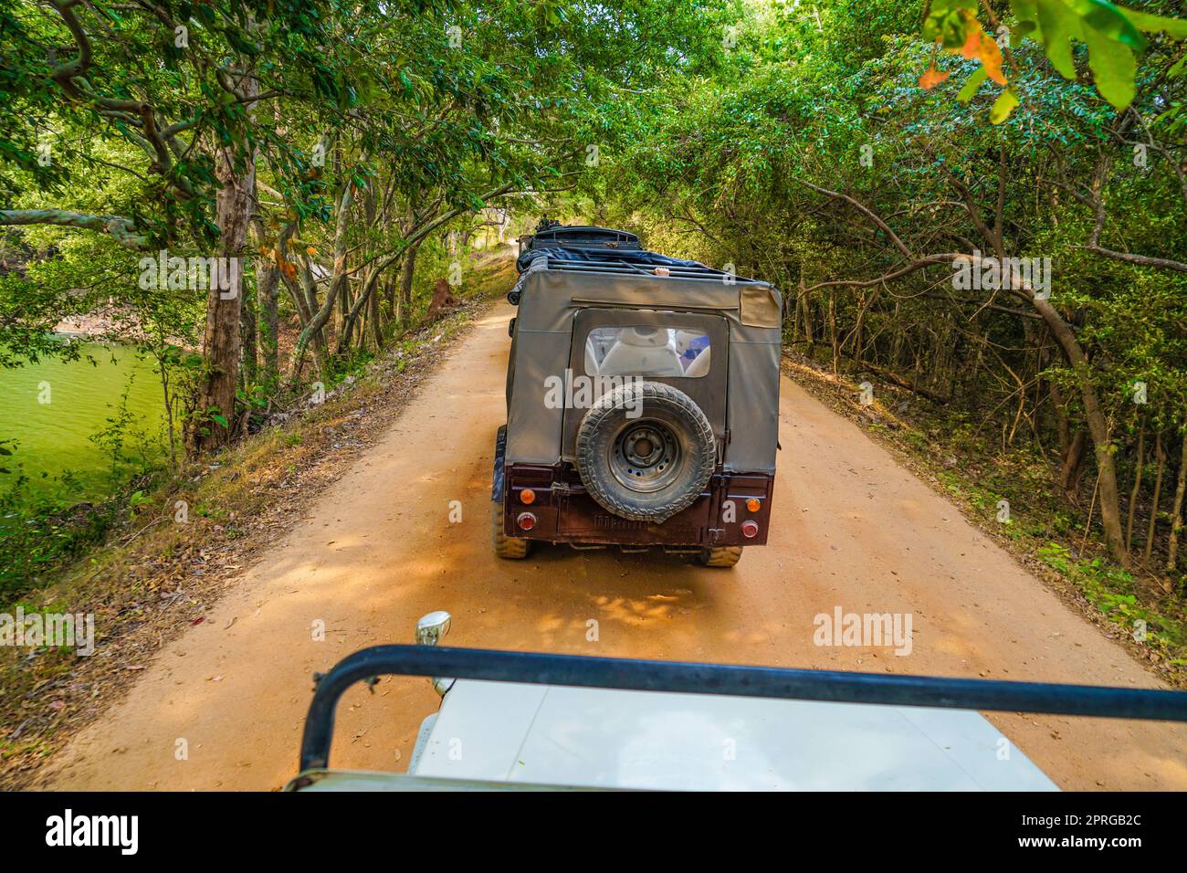 Safari-Tour Durch Den Nationalpark Minneria Stockfoto