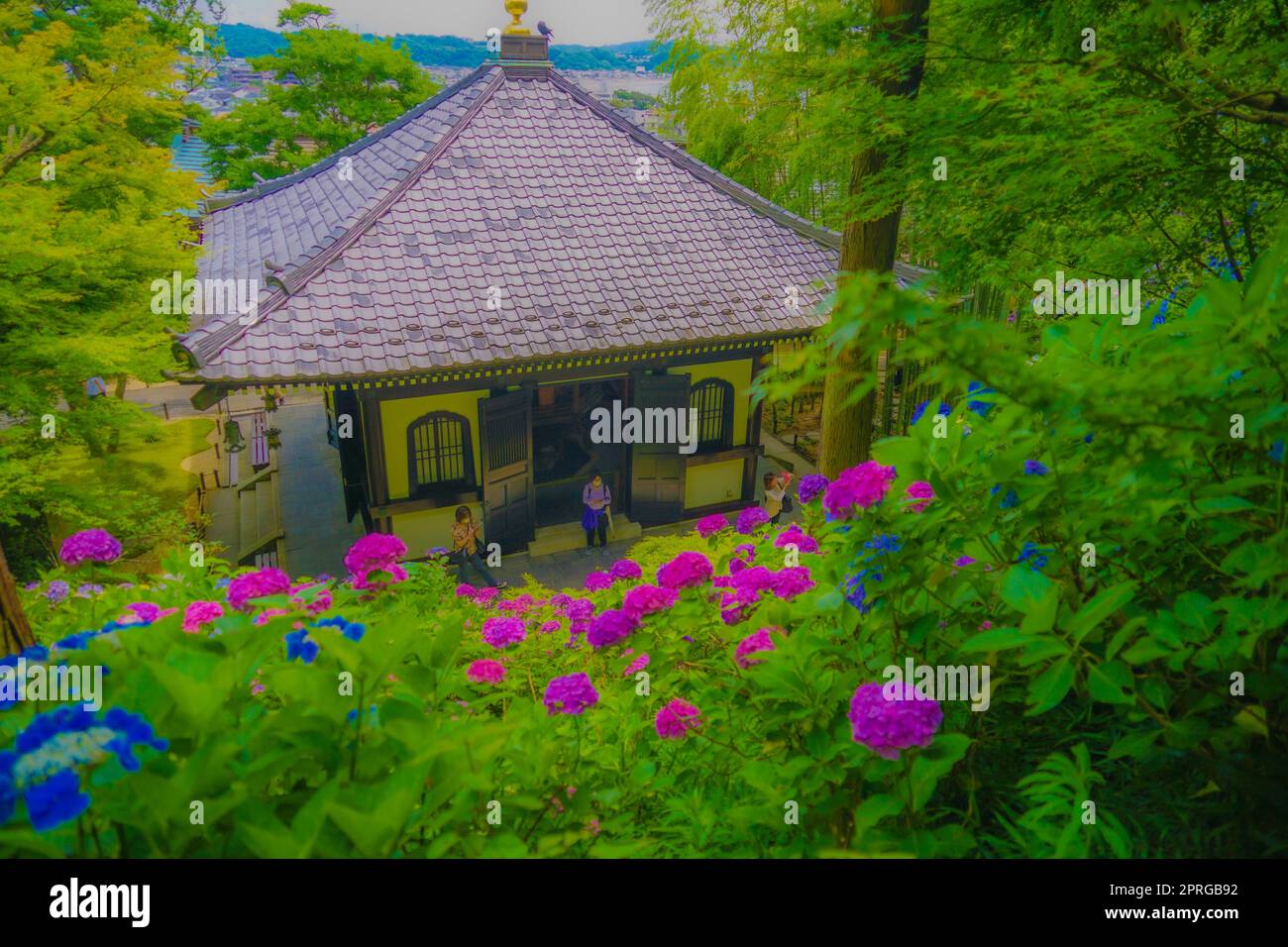 Ajisai und japanisches Haus Stockfoto