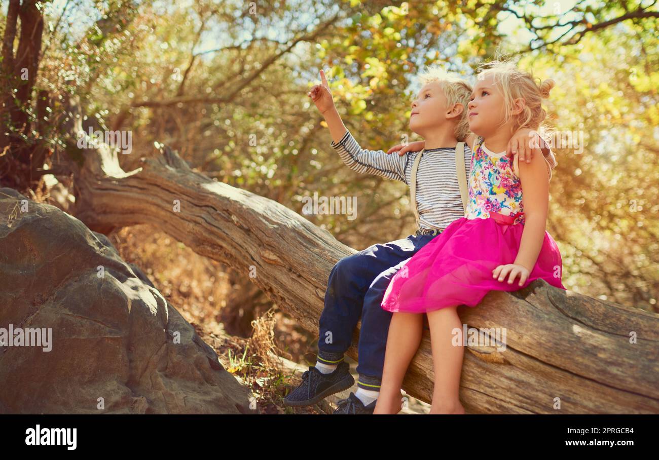 Eine Welt voller Kuriosen erkunden. Aufnahme von zwei kleinen Kindern, die im Freien zusammen spielen. Stockfoto