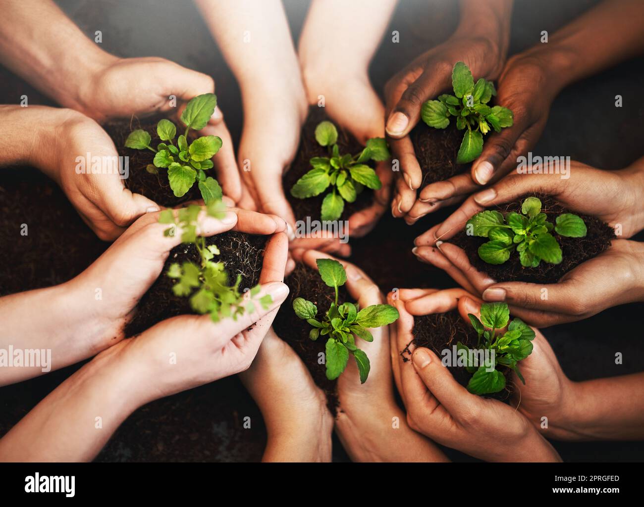 Liebe Menschheit, gib Grün eine Chance. Mit freundlichen Grüßen, Mutter Natur. Eine Gruppe von Menschen, die Pflanzen halten, die aus dem Boden wachsen. Stockfoto