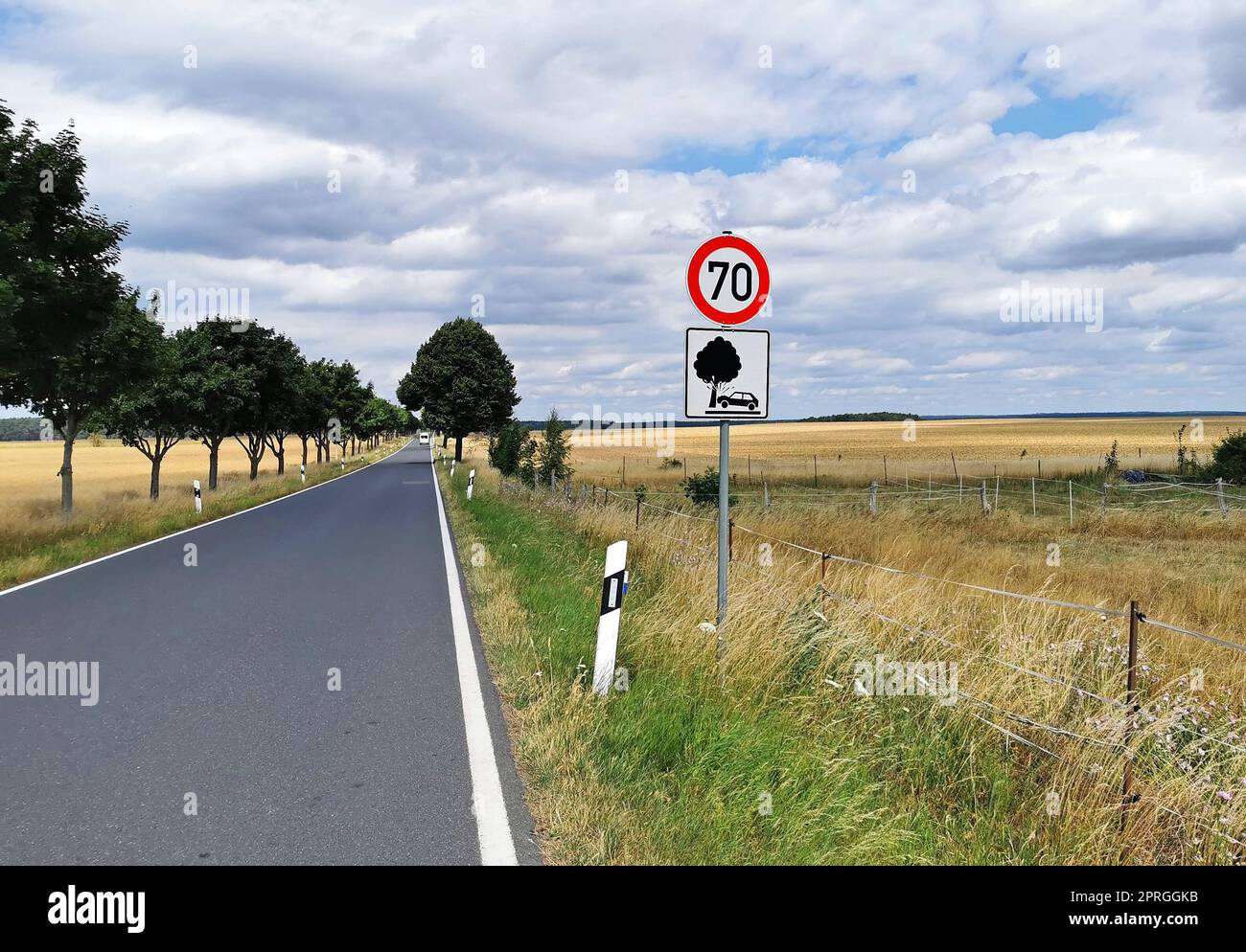 Straßenschild Achtung Bäume und somit gefährliche Unfallgefahr für Pkw Stockfoto