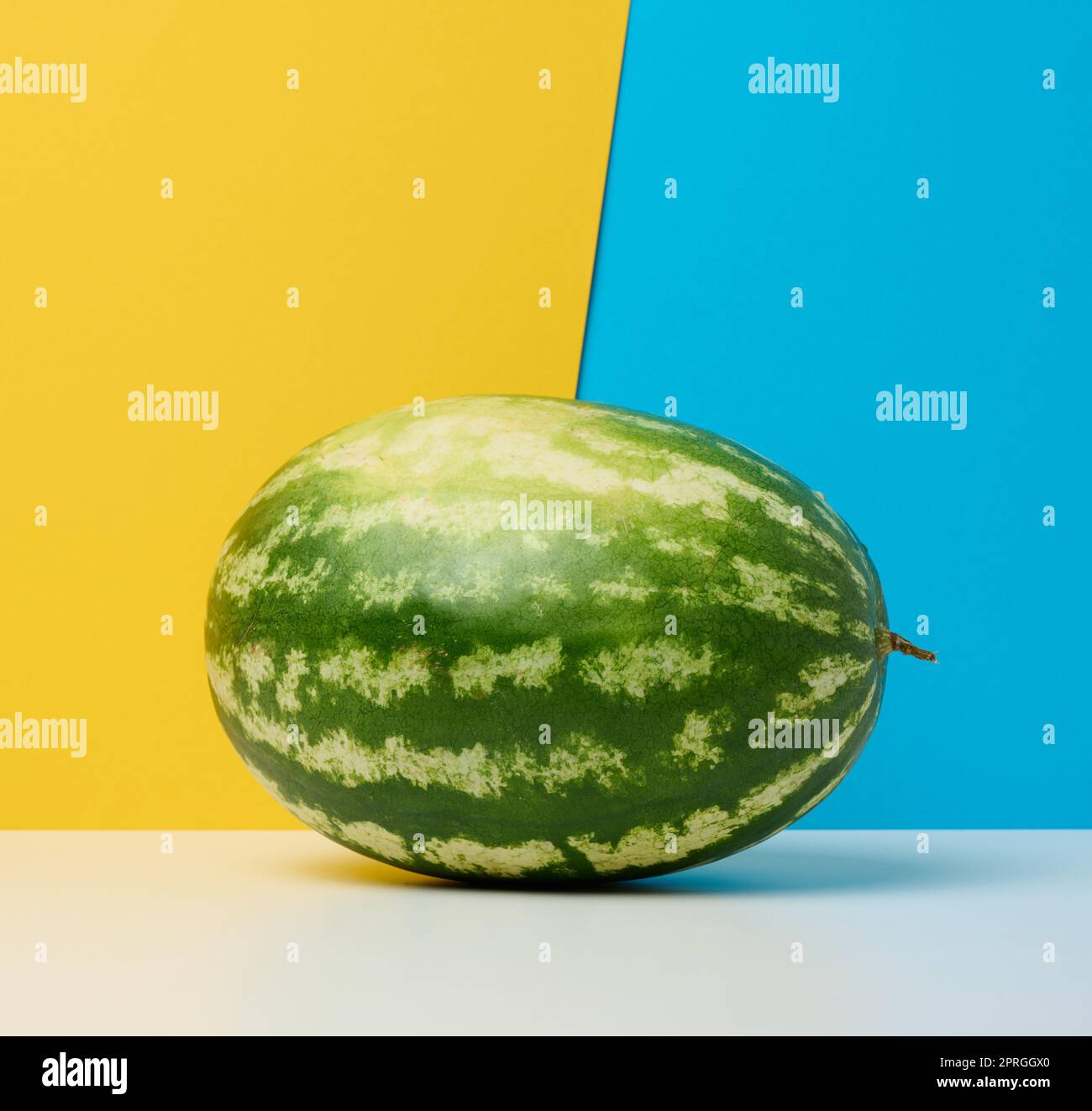 Runde gestreifte grüne Wassermelone auf gelb-blauem Hintergrund. Stockfoto