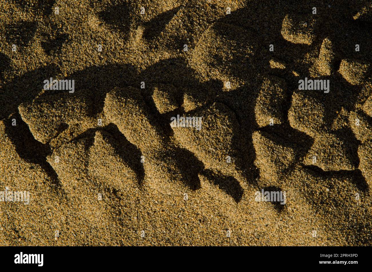 Spuren im Sand durch Windeinwirkung. Stockfoto