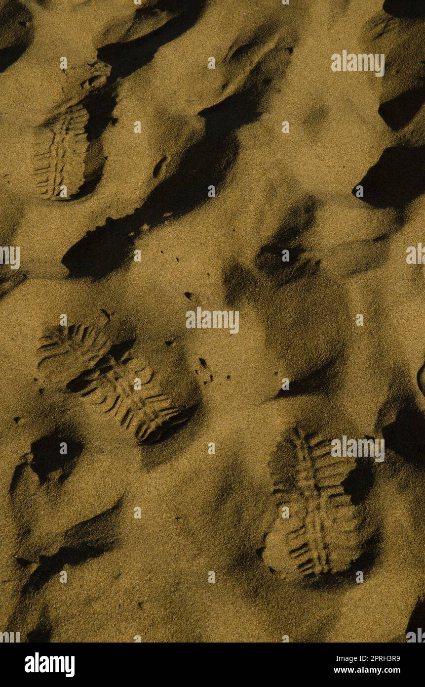 Fußspuren im Sand. Stockfoto