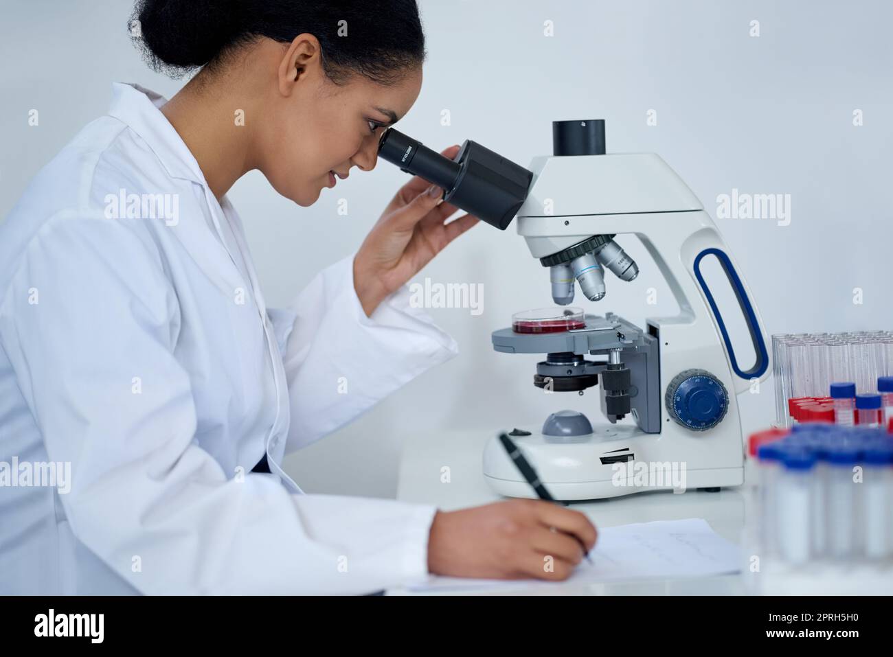 Erforschung neuer Medizin. Eine attraktive junge Wissenschaftlerin, die in ihrem Labor arbeitet. Stockfoto