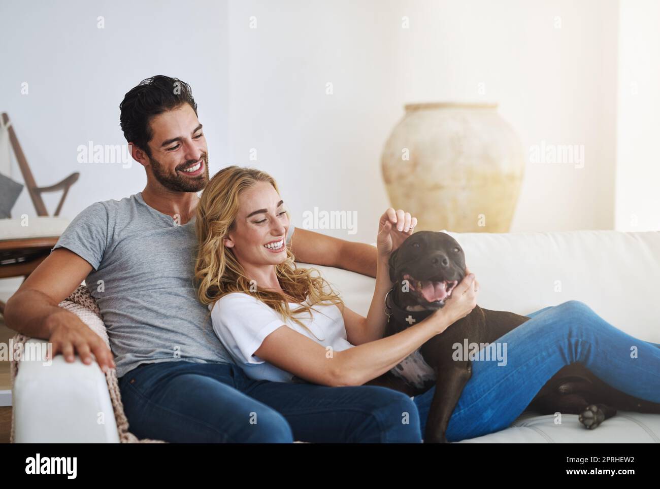 Vierbeinige Freunde machen aus einem Haus ein Zuhause. Ein junges Paar, das sich mit seinem Hund zu Hause entspannt. Stockfoto