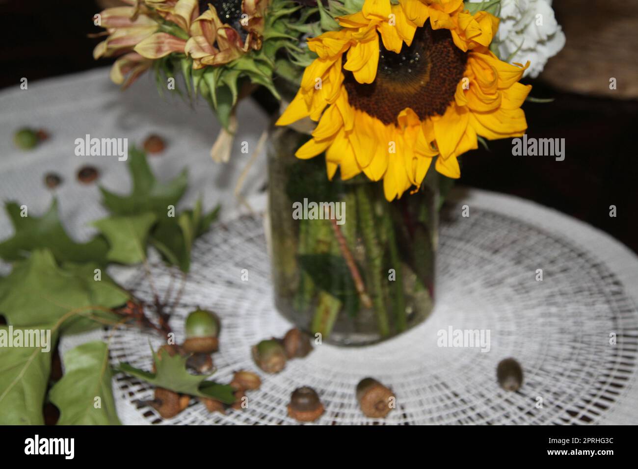 Mason-Glas mit Sonnenblumen und Wildblumen-Bouquet, Eichenblättern und Eicheln Stockfoto