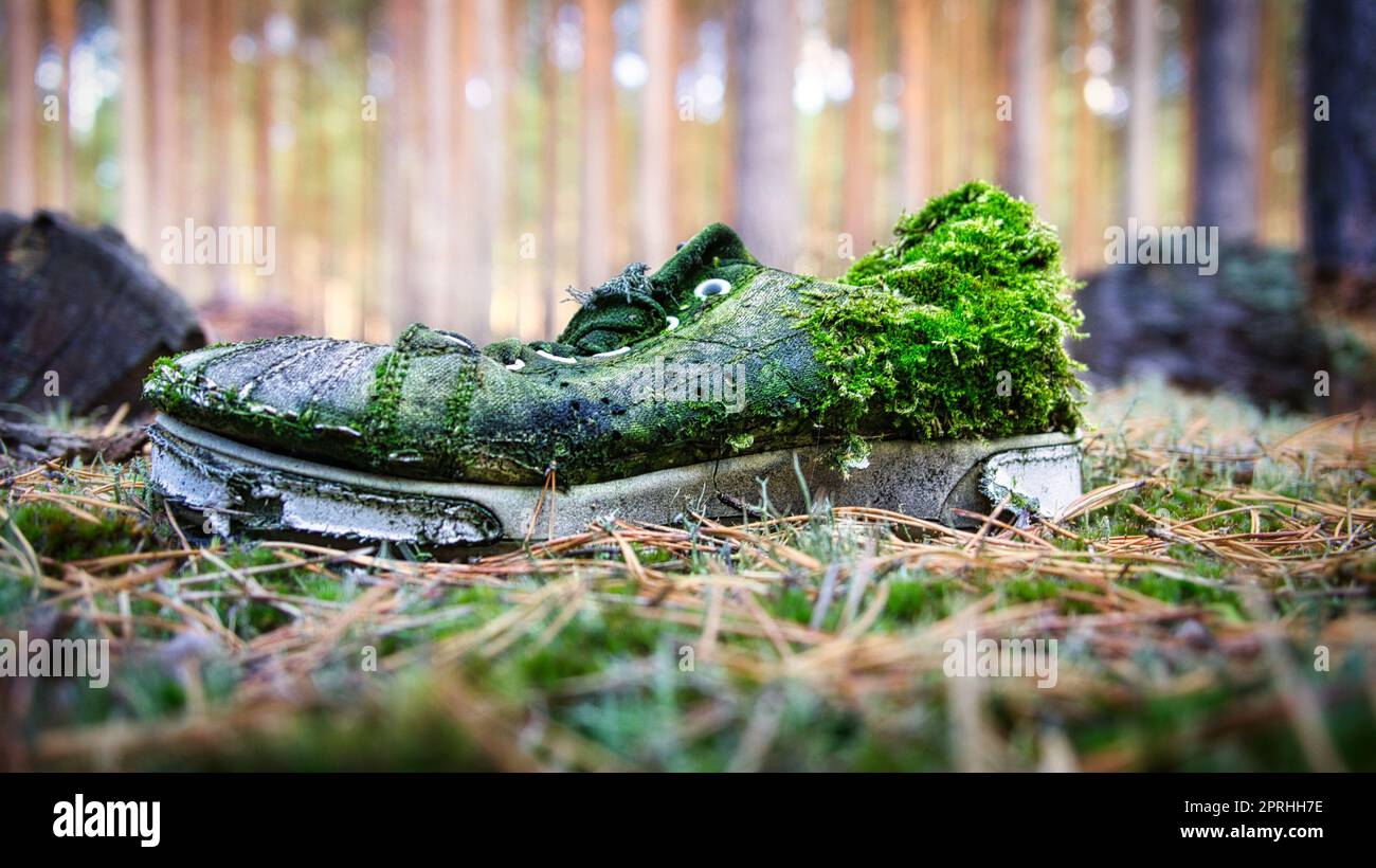Verrottende Schuhe im Wald, mit Moos überwuchert und vergessen Stockfoto