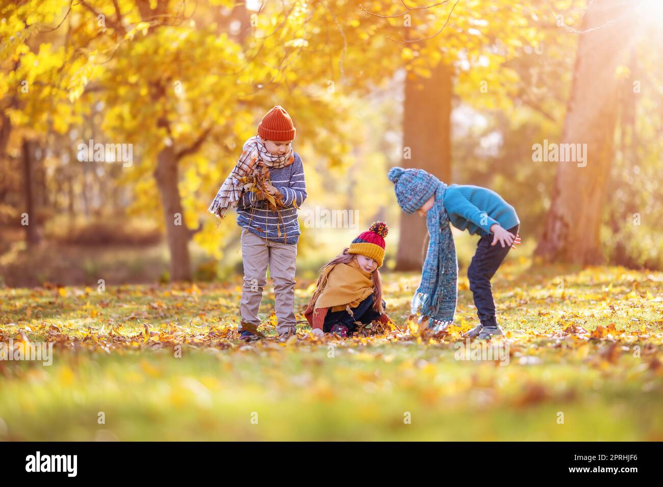 Kinder spielen am Herbsttag im farbenfrohen Naturpark zusammen Stockfoto