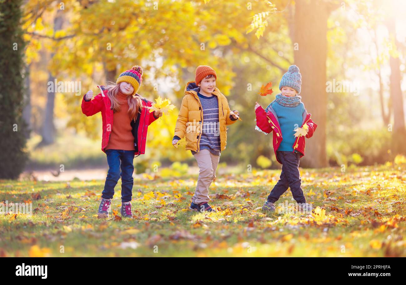 Drei Kinder, die gemeinsam im herbstlichen Park spazieren. Stockfoto