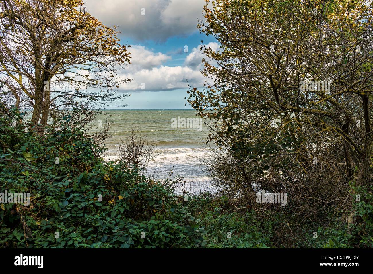 Ostseeküste Stockfoto