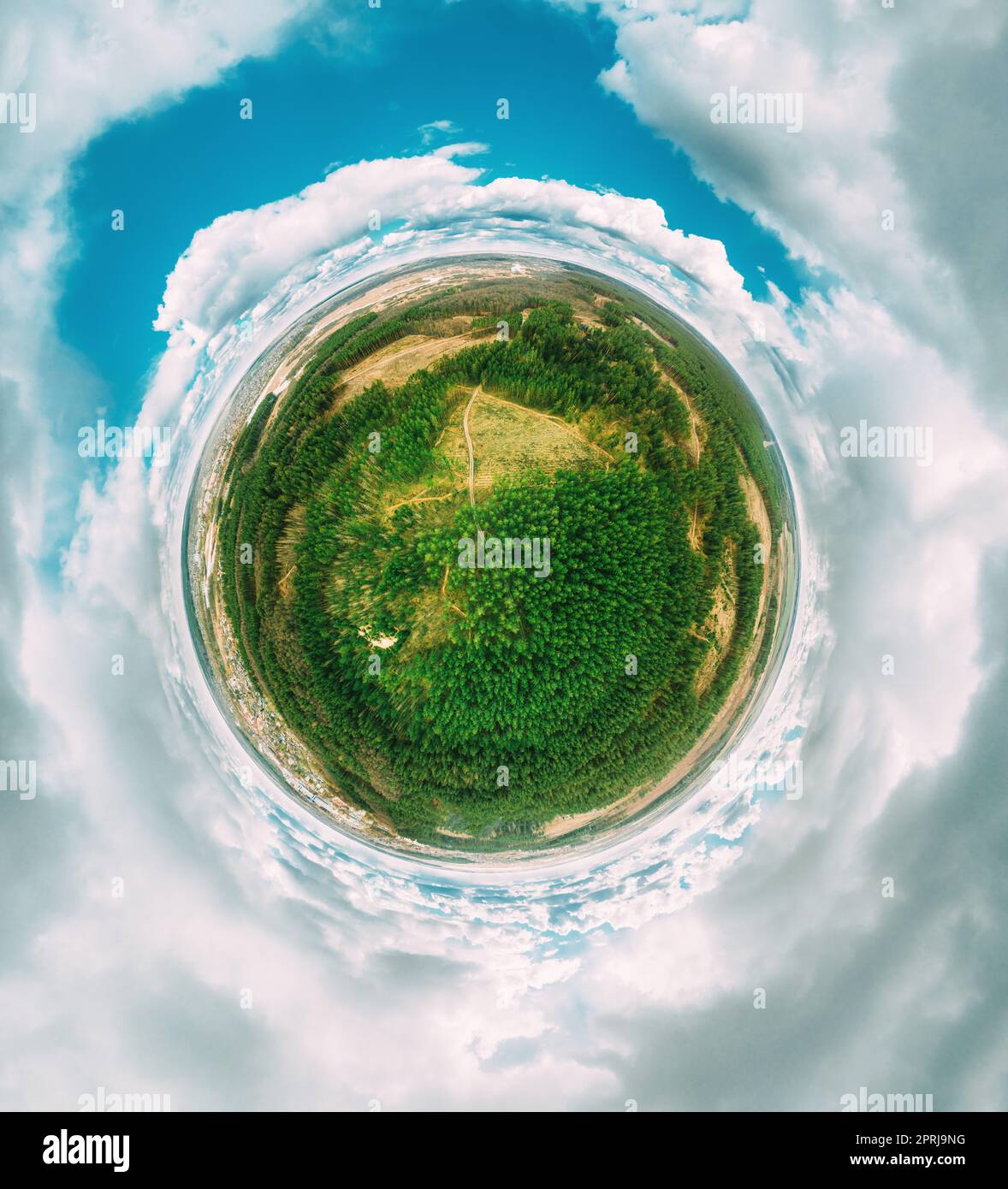 Blick Aus Der Vogelperspektive Auf Grüne Nadelwälder Pinienwälder Am Tag Des Sonnigen Frühlings. Blick Von Oben Auf Die Wunderschöne Europäische Natur Von High Attitude. Drohnenansicht. Vogelperspektive. Kleines Planet-Konzept Stockfoto