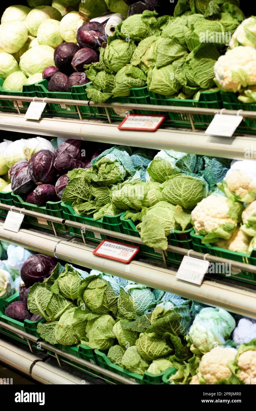 Frisch vom Bauernhof. Ein frischer Gemüsegang aus Salaten und Kohl Stockfoto