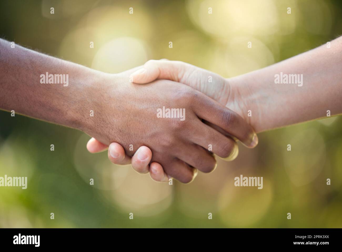 Gemeinschaft, Handschlag und Unterstützung Zeichen der Vielfalt, um Solidarität und Vertrauen zu zeigen. Begrüßung oder Begrüßung der Hände zusammen, um Zusammenarbeit zu zeigen, PAR Stockfoto