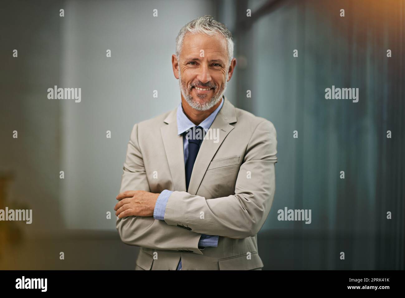 HES ist einer der einflussreichsten Führungskräfte in seinem Bereich. Porträt eines selbstbewussten Geschäftsmannes im Büro. Stockfoto