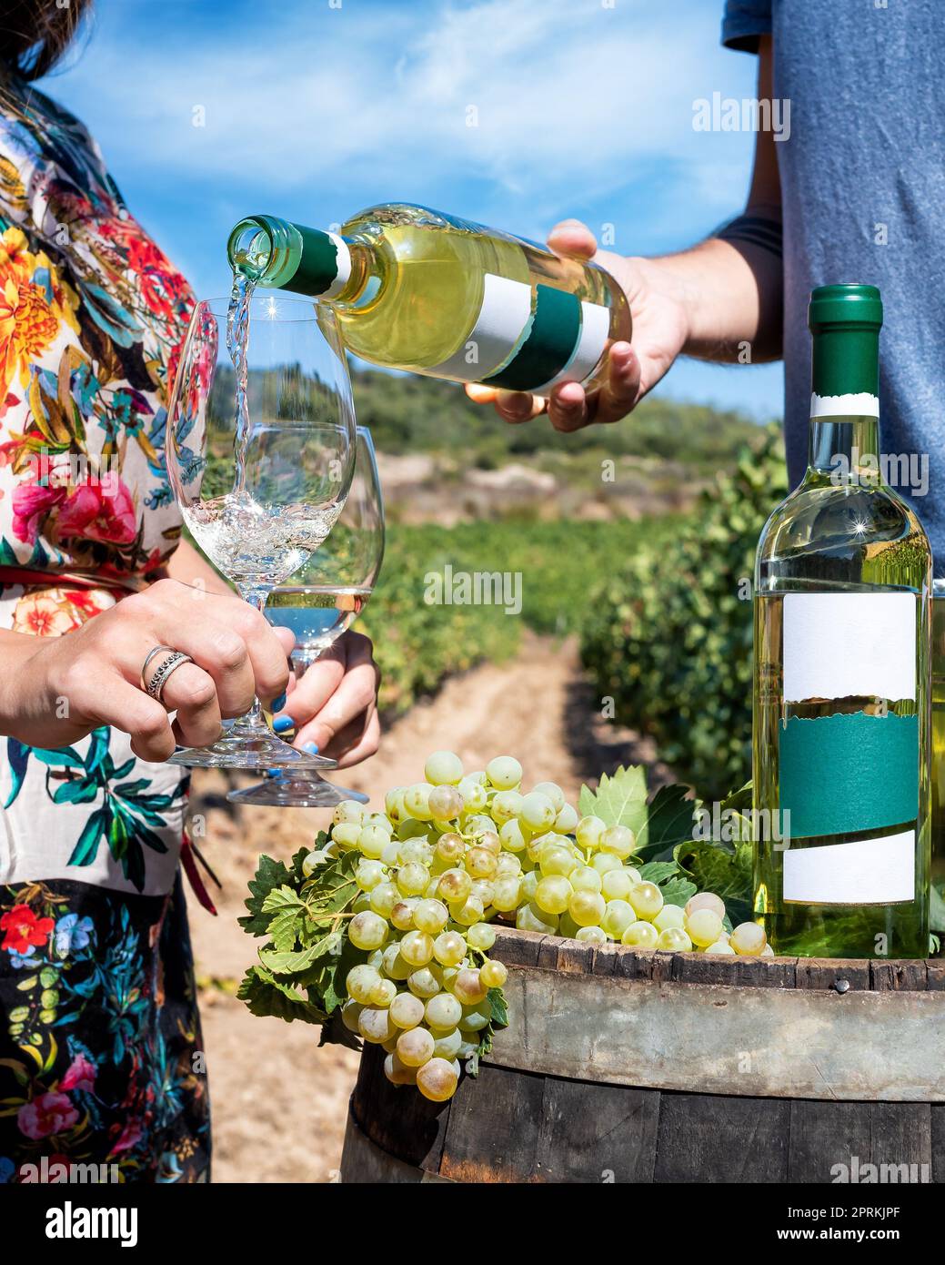 Vermentino Wein. Der Junge gießt Weißwein in den Kelch zwischen den Reihen eines Weinbergs. Lifestyle, Essen und Trinken. Stockfoto