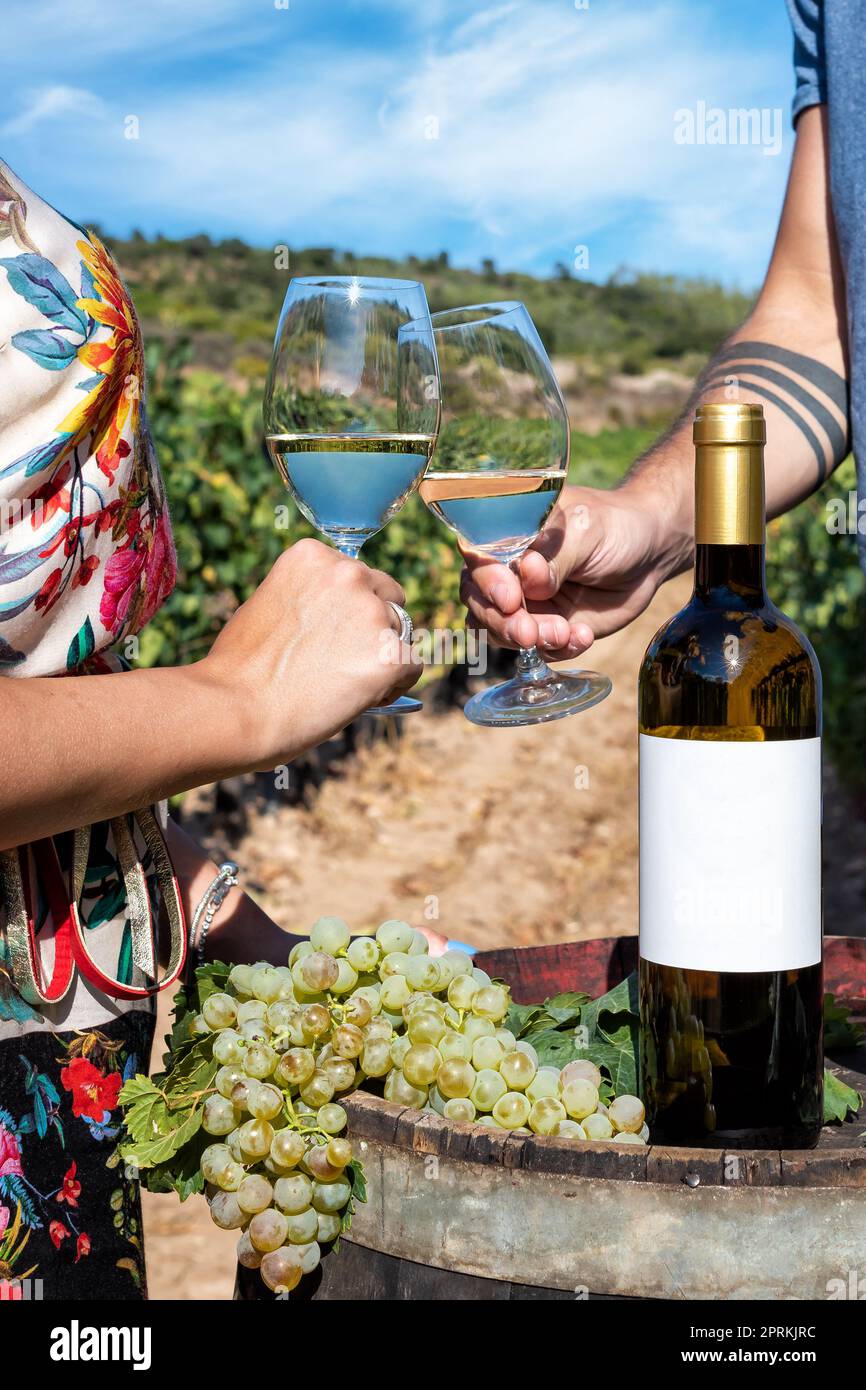 Vermentino Wein. Junge Jungen stoßen mit einem Glas Weißwein in den Reihen eines Weinbergs an. Lifestyle, Essen und Trinken. Stockfoto