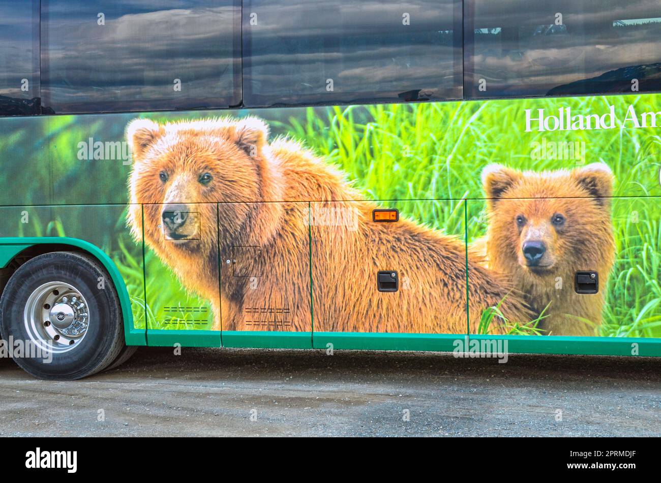 CARCROSS, YUKON, KANADA - 23. MAI 2012: Bus der Holland America Line, mit Touristen von Kreuzfahrtschiffen in Skagway, Alaska, zu verschiedenen Attraktionen i Stockfoto