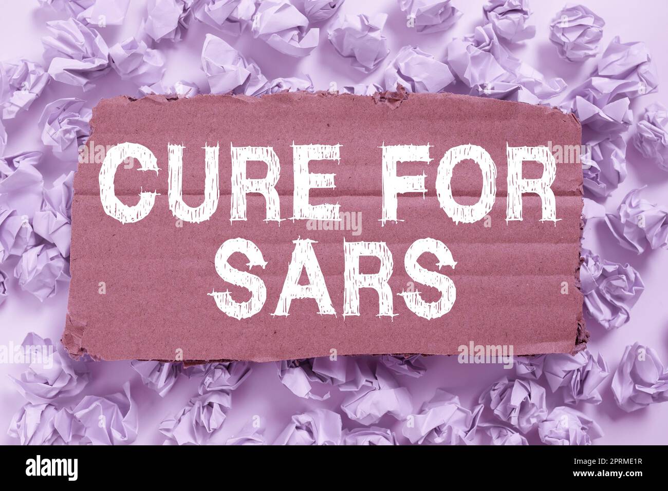 Textzeichen, das das Heilmittel für SARS anzeigt. Geschäftsansatz Medizinische Behandlung über schweres akutes Atemwegssyndrom Rahmen dekoriert mit bunten Blumen und Laub harmonisch angeordnet. Stockfoto