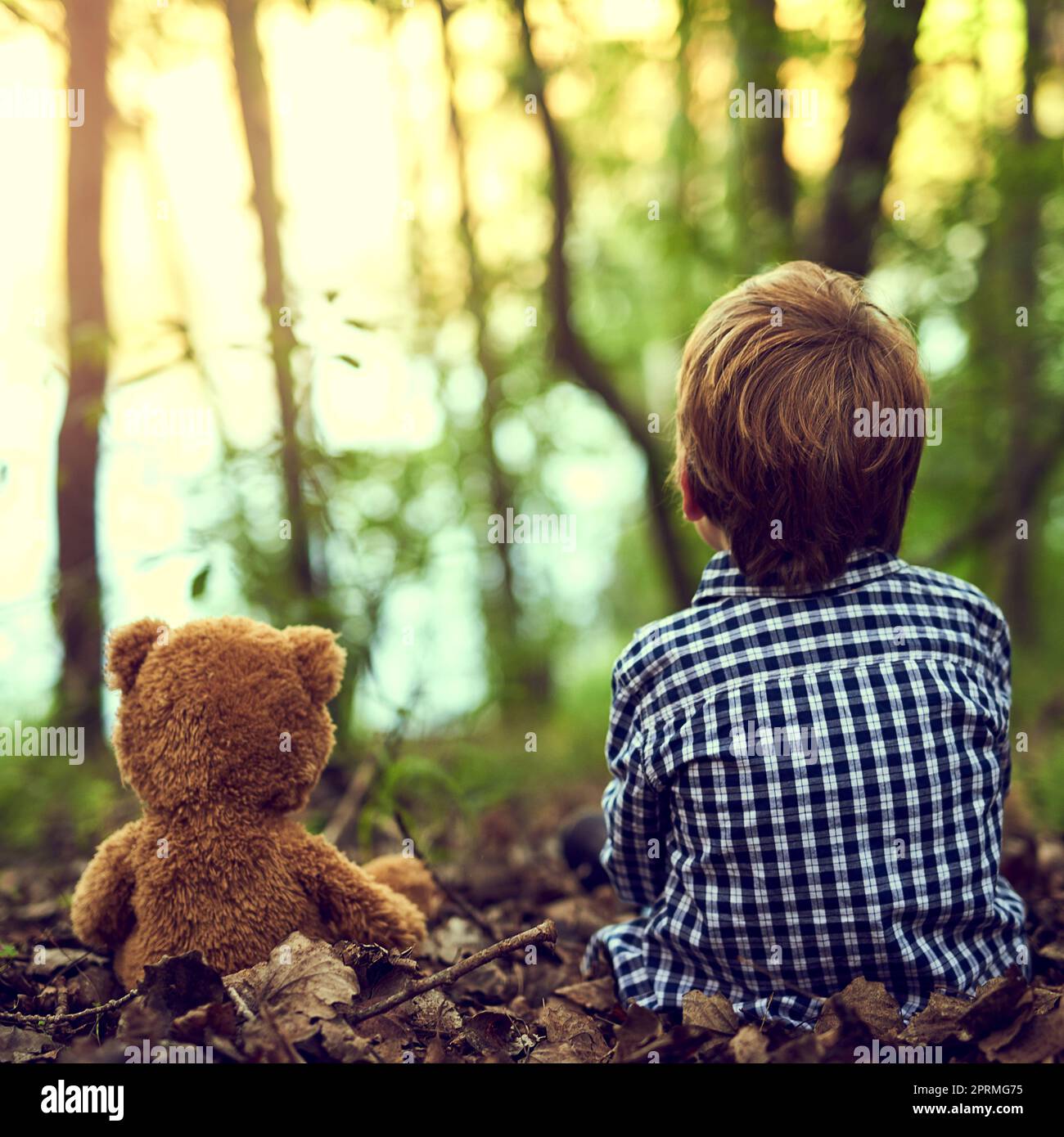 Teddy ein paar Dinge über die Natur beibringen. Ein kleiner Junge sitzt mit seinem Teddybären im Wald. Stockfoto