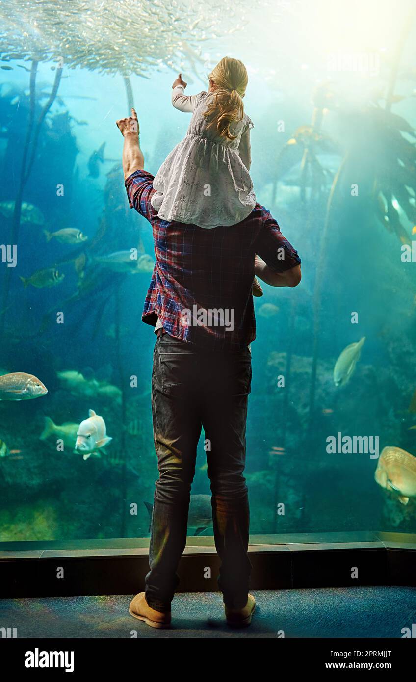 Die Wunder der Unterwasserwelt. Ein Vater und seine kleine Tochter betrachten eine Ausstellung in einem Aquarium. Stockfoto