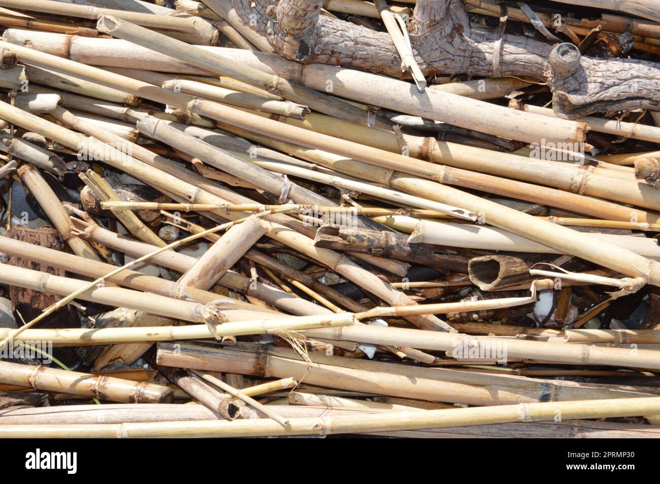Konsistenz des trockenen Bambus der Stiele Stockfotografie - Alamy