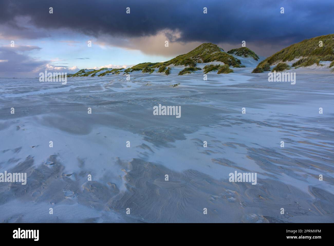 Landschaft in den Dünen auf der Nordseeinsel Amrum, Deutschland Stockfoto