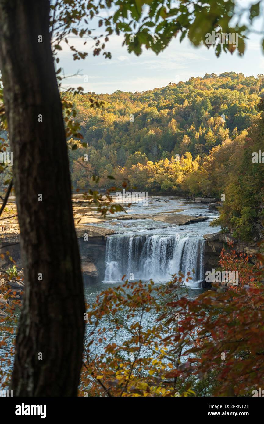 Cumberland Falls State Resort Park in Kentucky Stockfoto