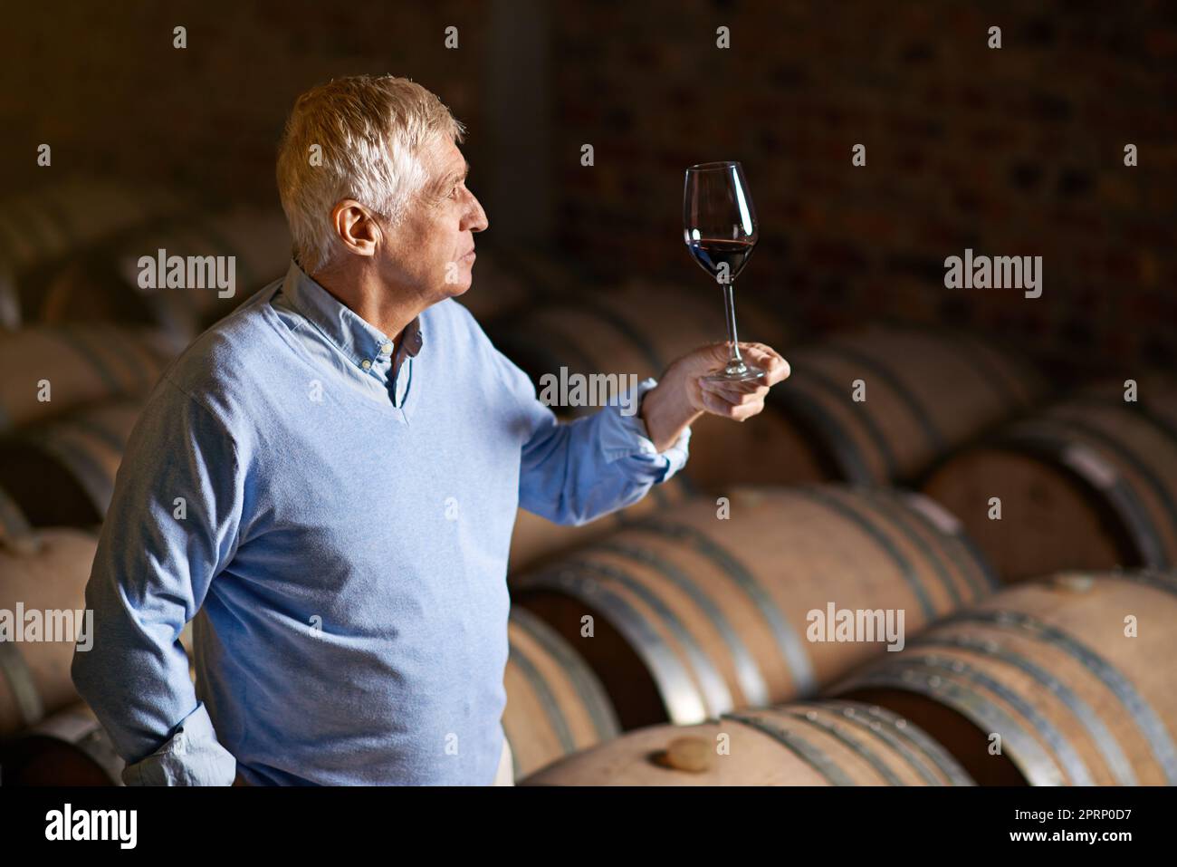 Hes ein Weinkenner. Ein älterer Mann Weinprobe in einem Keller. Stockfoto