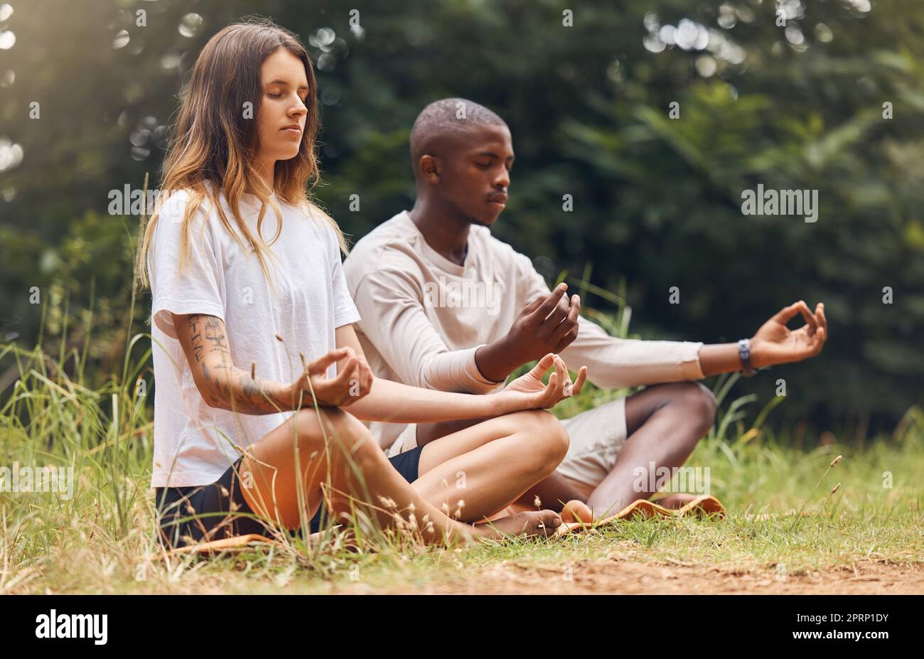 Wald-Yoga, Natur-Meditation und Paar in Zen, entspannen oder Gesundheit Geist Training für Energie Wellness oder Frieden. Gemischtrassige Männer oder Frauen auf dem Boden in Nachhaltigkeitsholzbäumen für psychische Gesundheit Übung Stockfoto