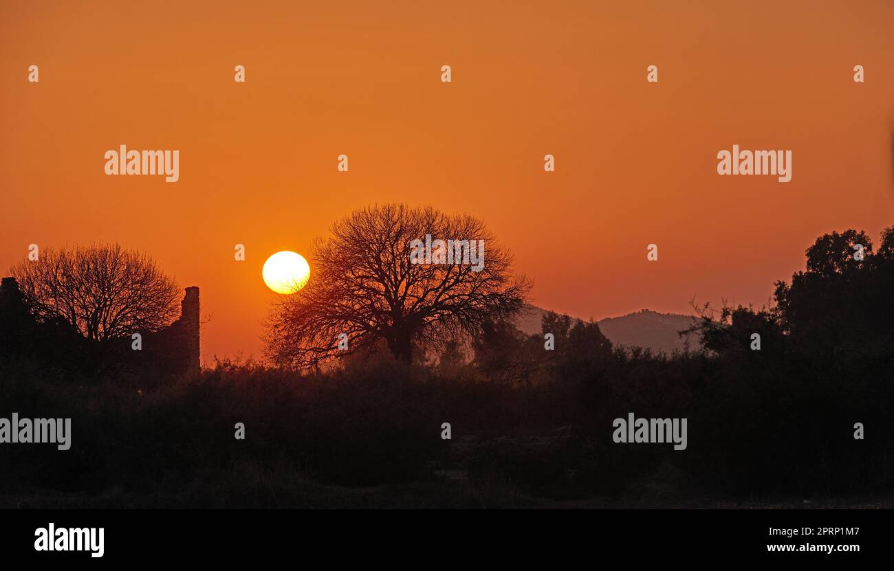 Der Tempel des Apollo in Didyma, Türkei Stockfoto