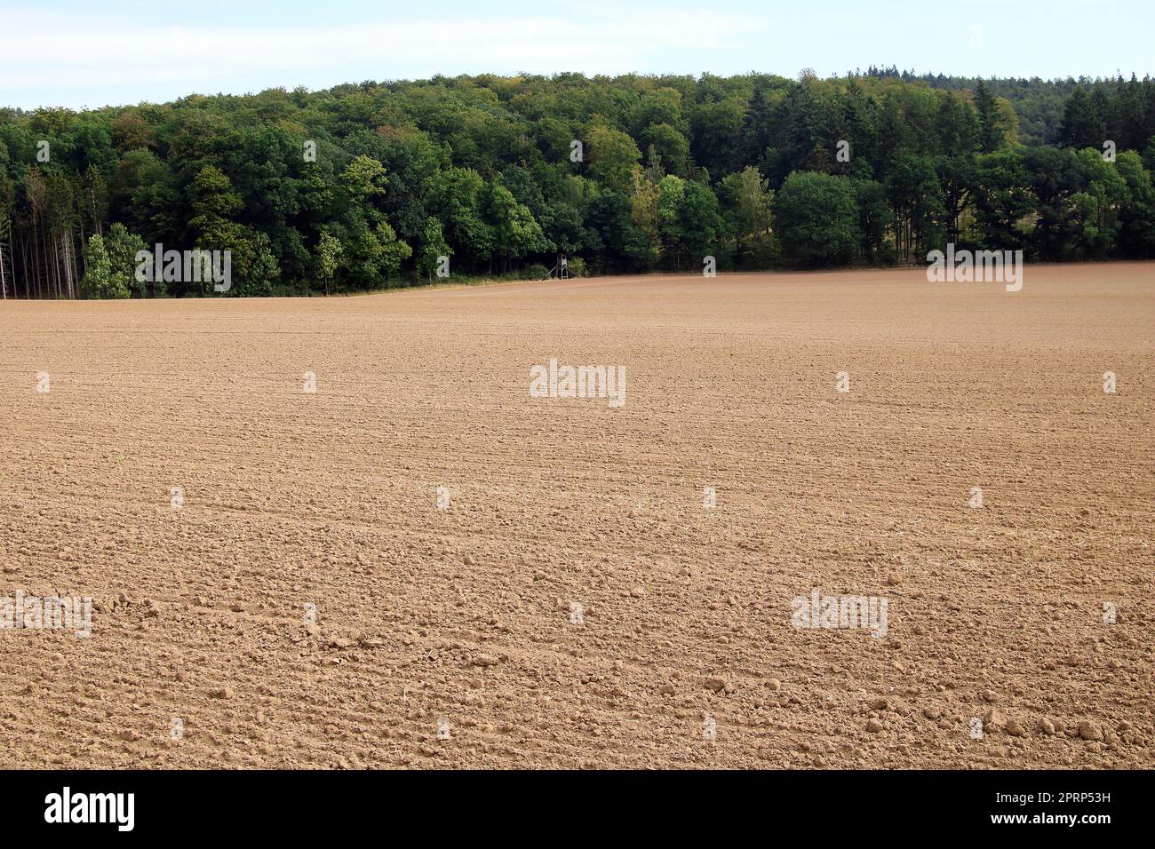 Geerntetes Feld im Herbst Stockfoto