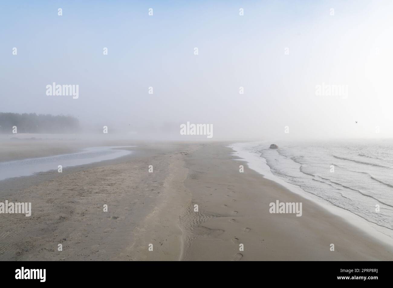 Nebel an der Ostseeküste im Frühling. Moody Wetter, Nebel Stockfoto