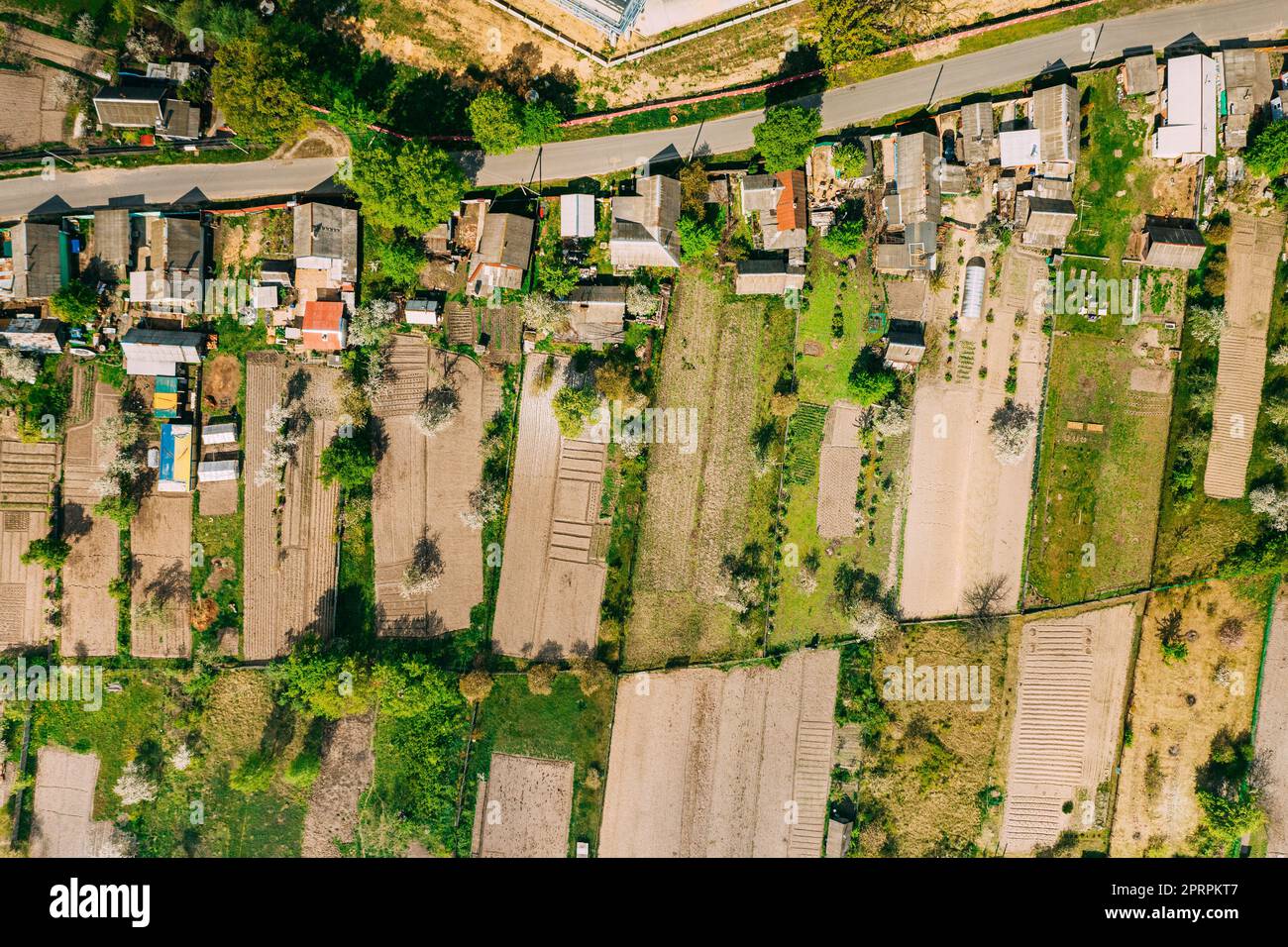 Russland. Luftaufnahme Der Kleinstadt, Dorf Stadtbild Skyline Im Sommer Tag. Wohnviertel, Häuser und Gemüsegarten Betten in Vogelperspektive Stockfoto