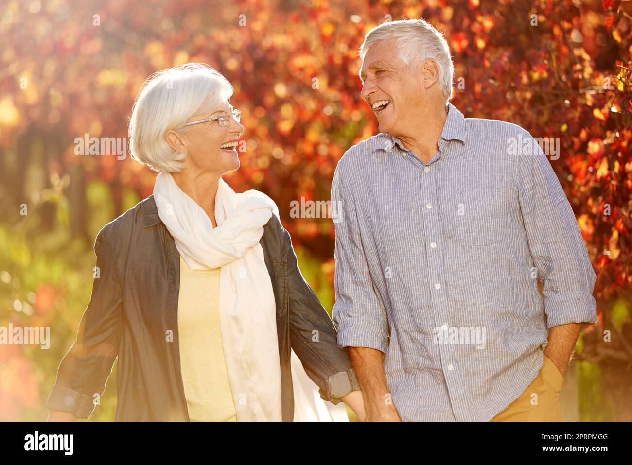 Hand in Hand durch den Weinberg. Ein älteres Paar, das Hand in Hand durch einen Weinberg geht. Stockfoto
