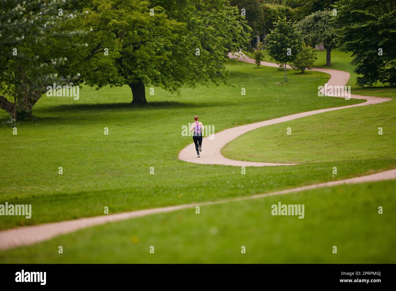 Auf lange Sicht in der IT. Rückansicht einer Frau, die in einem Park entlang eines Fußwegs joggt. Stockfoto