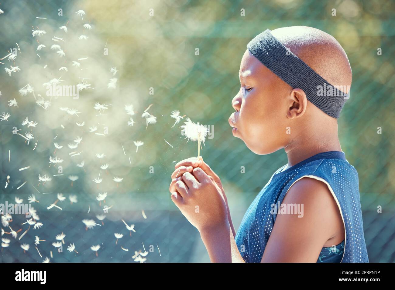 Junge, einen Löwenzahn blasen und sich draußen auf einem Basketballplatz mit einer magischen Blume etwas mit einem schwarzen Kind wünschen. Ein afrikanisches Kind genießt Freiheit, Harmonie und träumt davon, ein professioneller Spieler zu sein Stockfoto