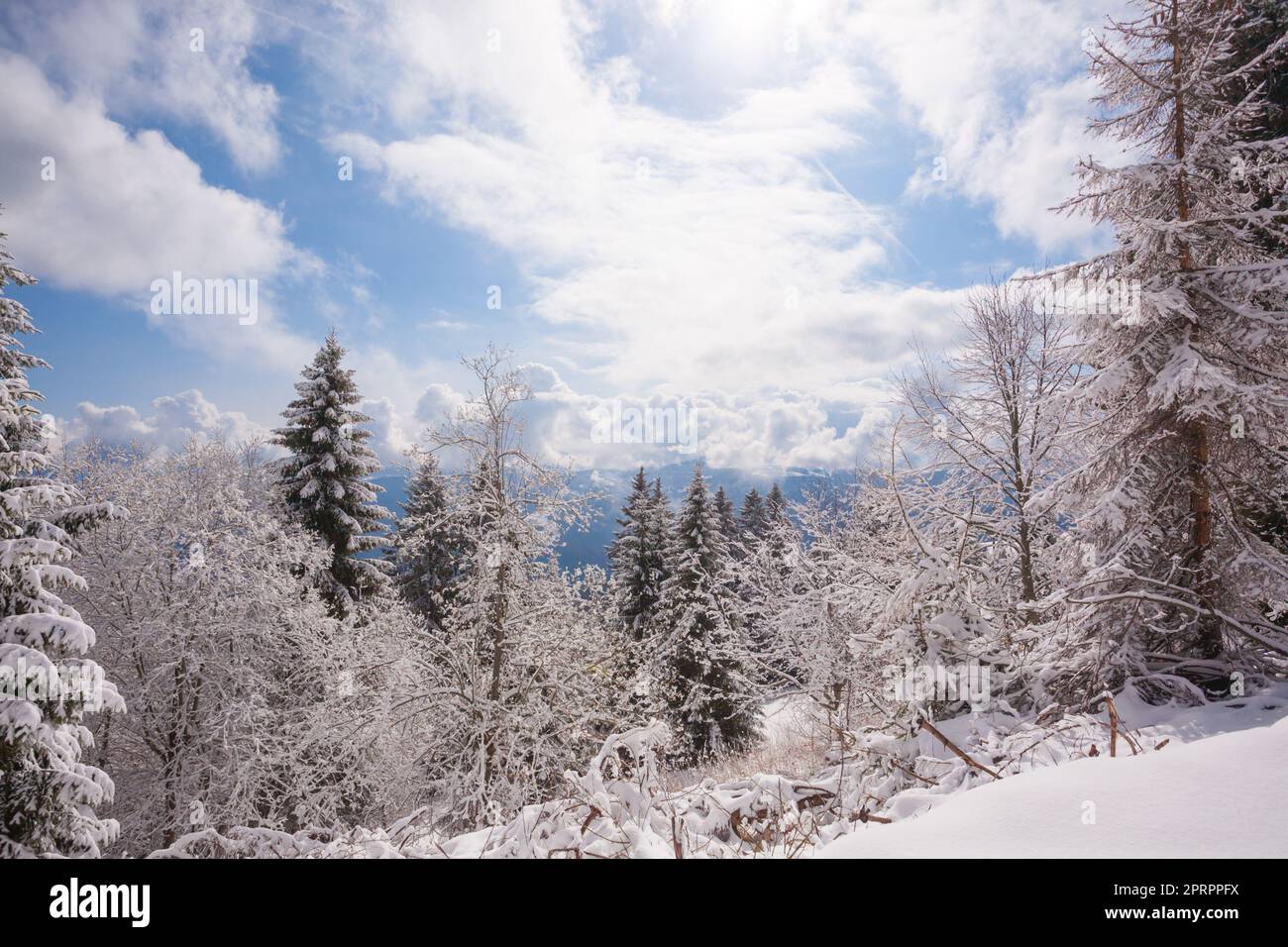 Winterlandschaft mit Schnee vom Asiago-Berggebiet Stockfoto