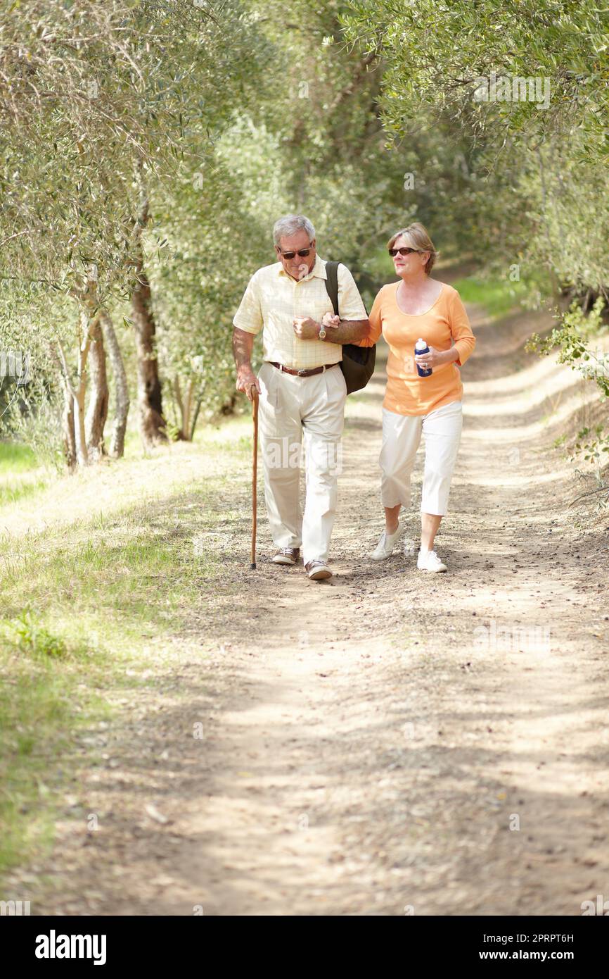 Aktiv bleiben und die Natur genießen. Ein Seniorenpaar, das gemeinsam auf einem Waldweg geht. Stockfoto