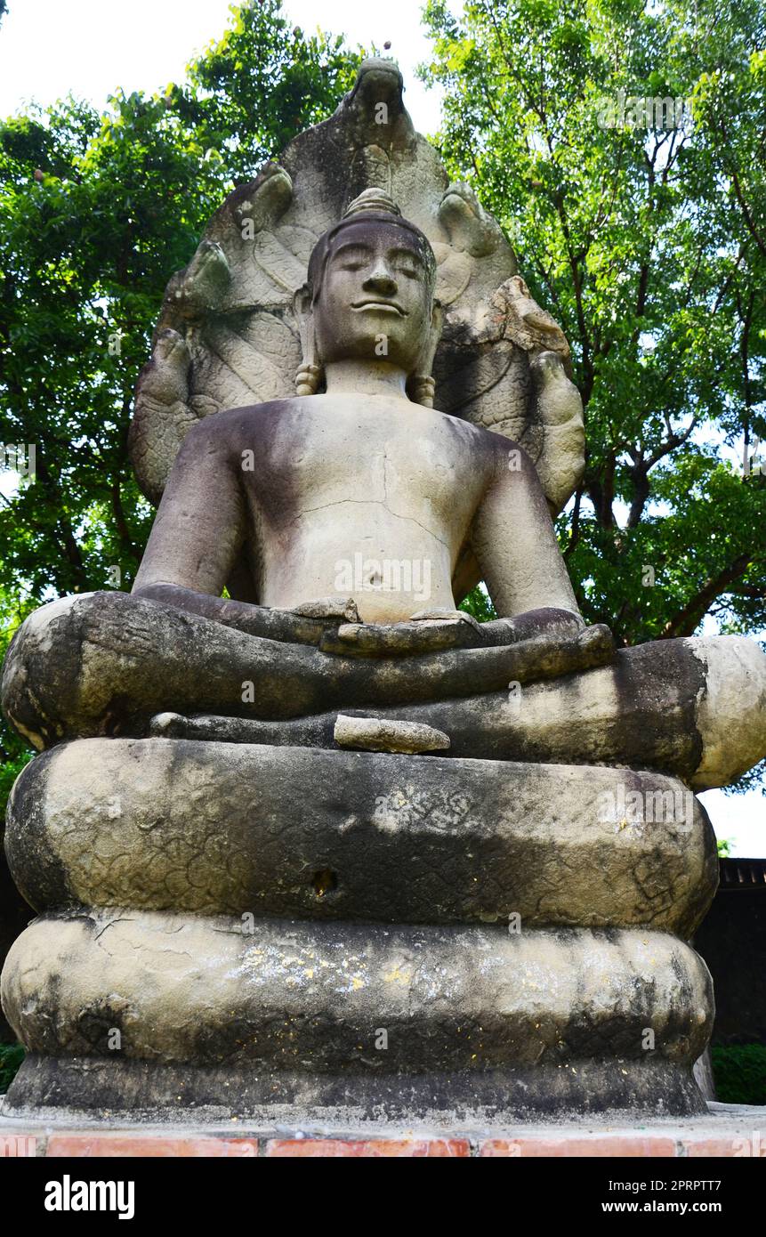 Alte buddha-Einstellung der Meditation geschützter Deckkopf der mythischen Schlange oder des antiken Naga Prok für thailänder besuchen das Beten von König Narai Ratcha Stockfoto