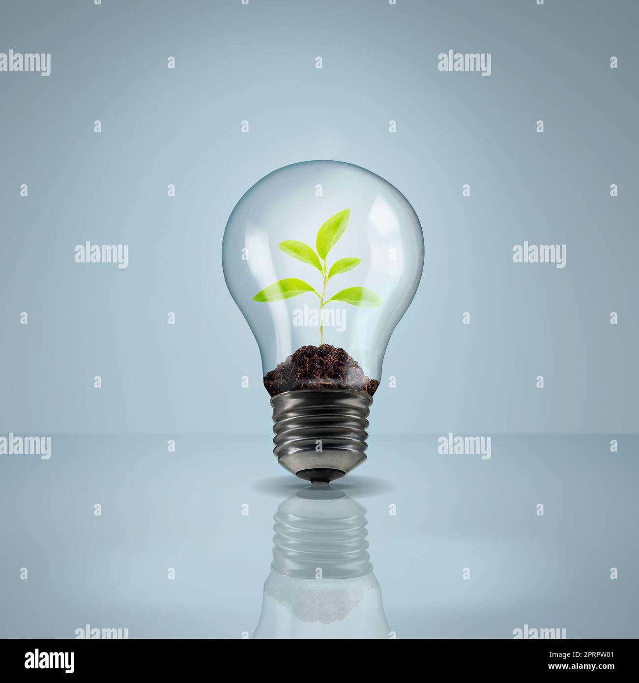 Die nachhaltige Lösung. Studioaufnahme einer Pflanze, die in einer Glühbirne wächst. Stockfoto