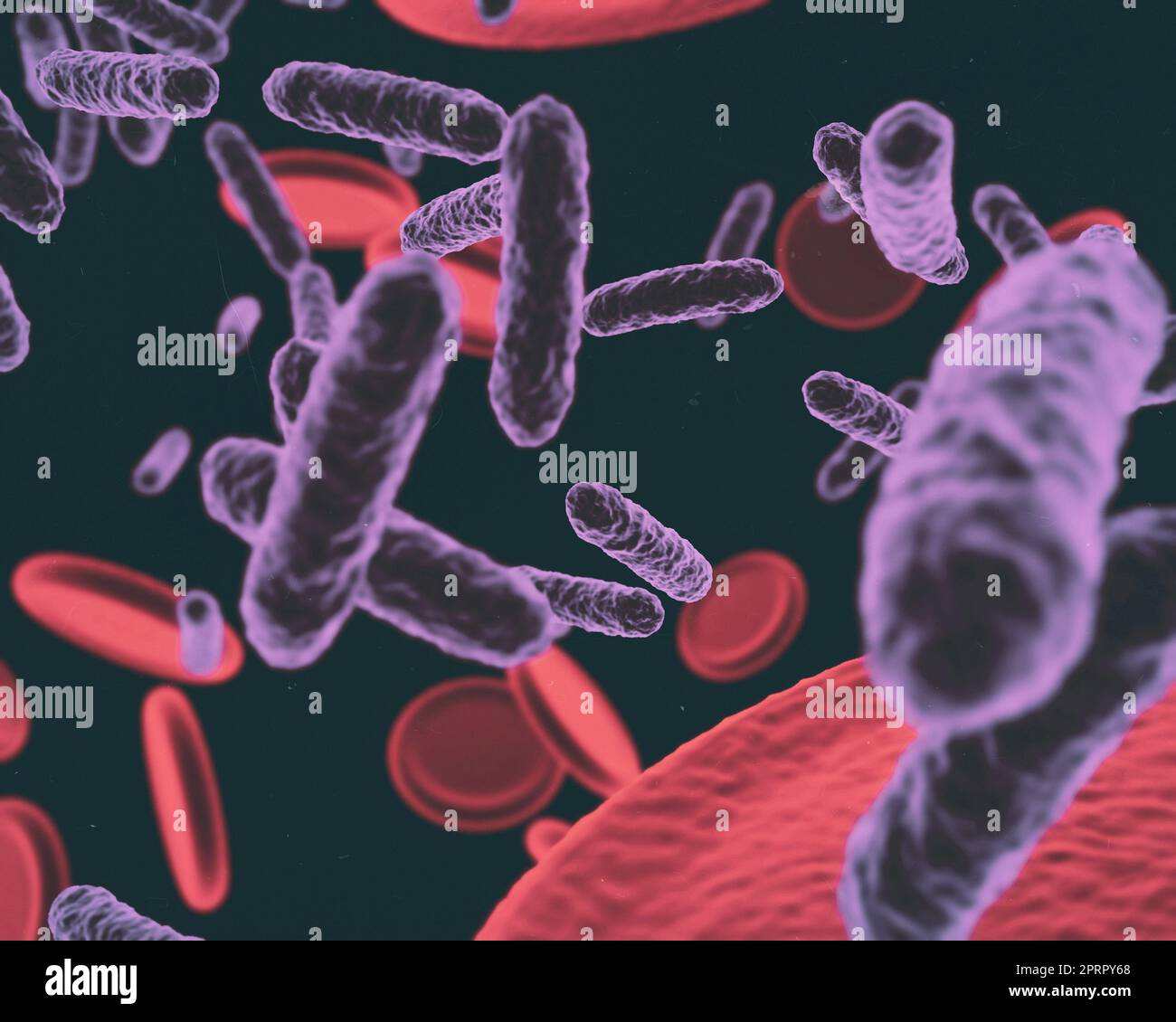 Angriff der Viren. Mikroskopische Ansicht eines Virus, der gesunde Zellen angreift. Stockfoto