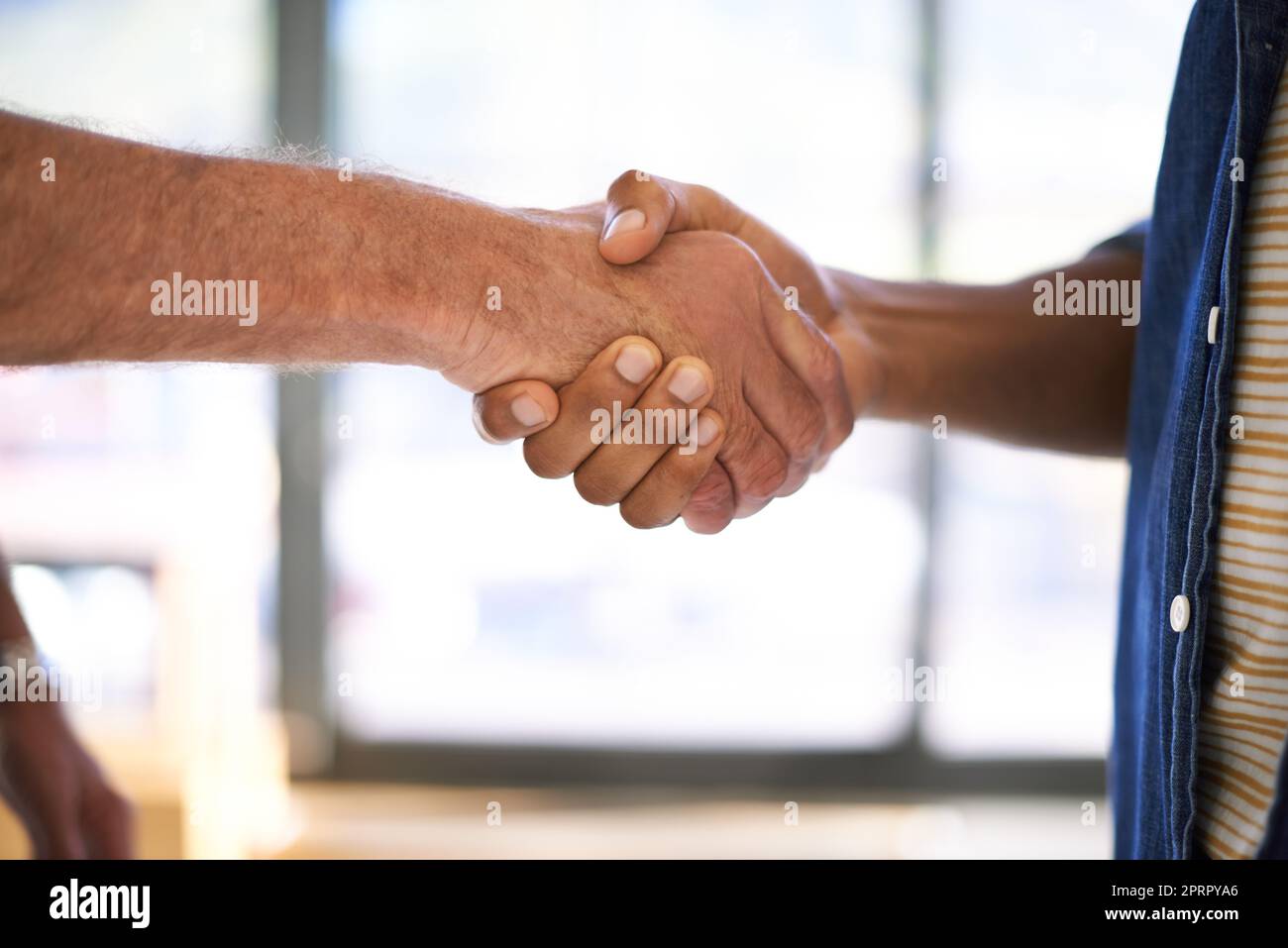 Aufbau solider Anleihen. Beschnittene Ansicht von zwei Männern, die sich drinnen die Hände schüttelten. Stockfoto