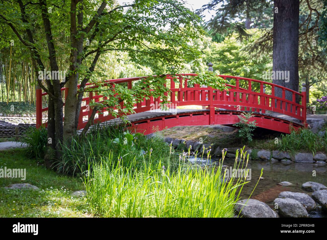 Traditionelle rote Holzbrücke auf einem japanischen Gartenteich Stockfoto