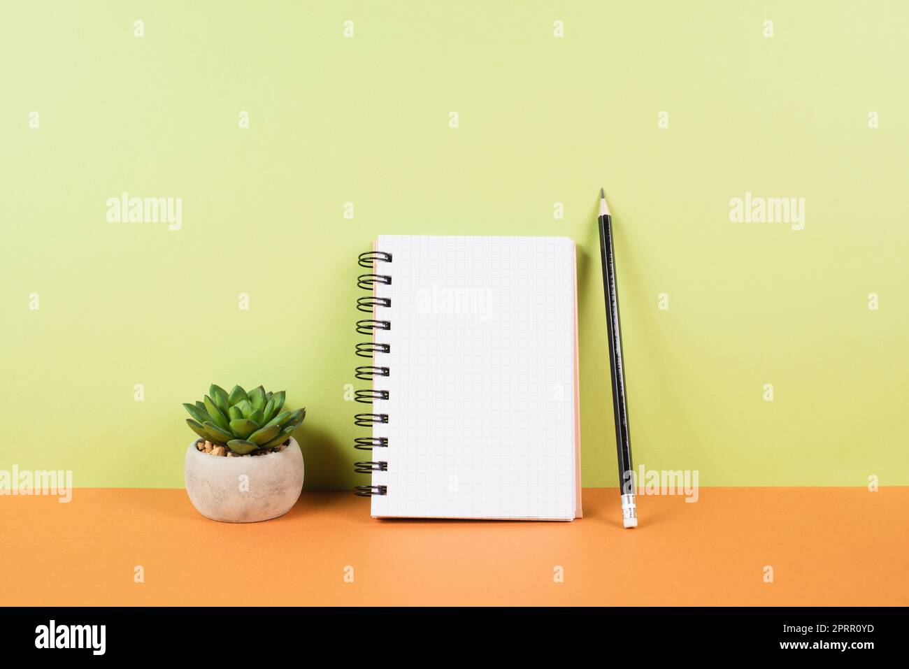 Leerer Notizblock mit Bleistift auf orangefarbenem und grünem Hintergrund, Topf mit Kaktus, Platz für Text, Schreibtisch Stockfoto